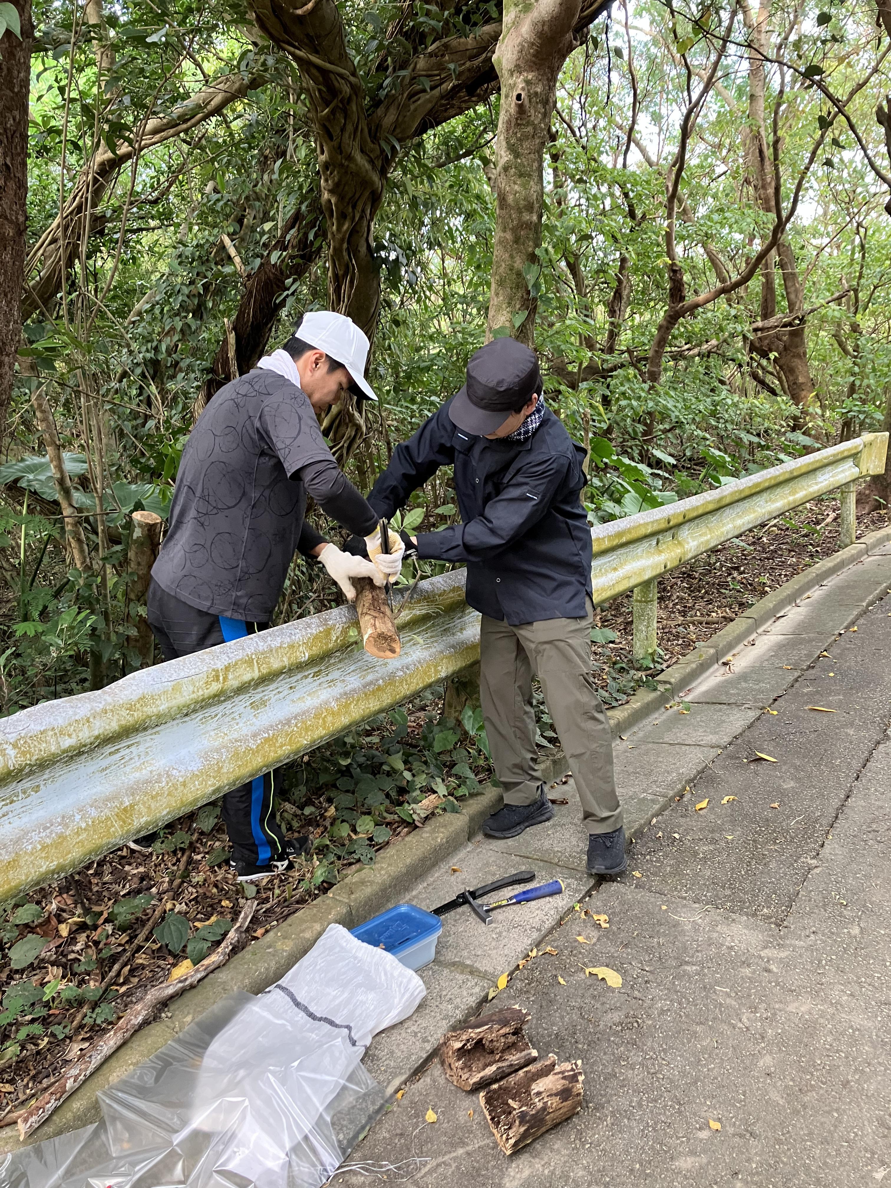 251126_沖縄サンプリング